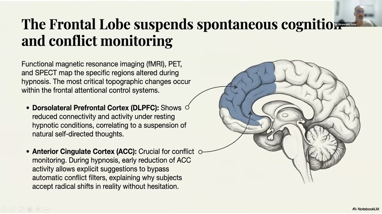 יוסי ארנרייך: המוח המהופנט