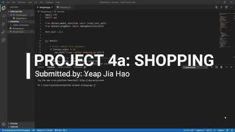 Project 4a: Shopping Video Submission