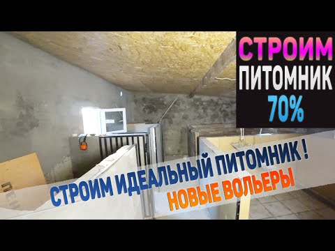 Видео: Как получить образец мочи с собакой-девочкой