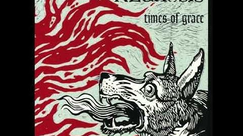 strength in numbers - Times of grace