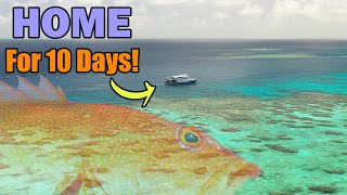 A fisherman's PLAYGROUND! 10 day reef adventure!