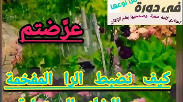 ✴️@دورة تصحيح تلاوة(وعرضتم كيف نضبط الراءات والضاد المفخمات معا تعالوا نسمع ونتعلم معا ✴️