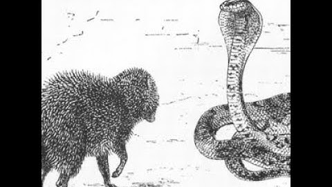 Game Theory Tutorial: Dynamic Games: The Centipede Game