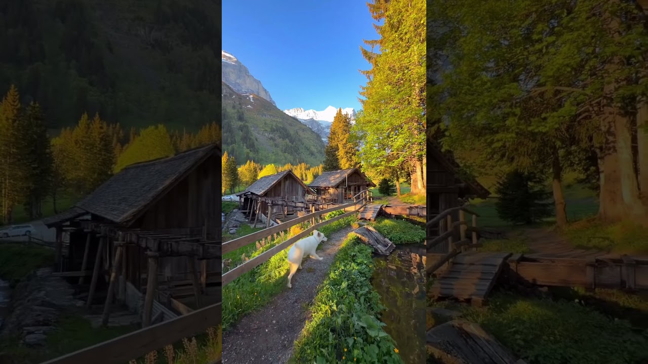 This is Switzerland #switzerland #travel #youtubeshorts #nature