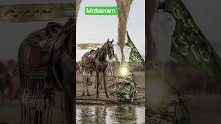 moharram  #moharram #india #pakistan #lucknow #islamicvideo #islamic #iran #war #viralvideo