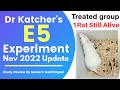 Dr Katcher&#39;s E5 Experiment November 2022 Update