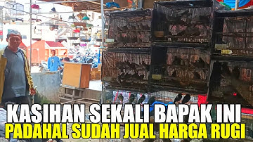 KASIHAN SEKALI BAPAK INI !! PADAHAL SUDAH JUAL RUGI HARGA BURUNG DI PB PRAMUKA