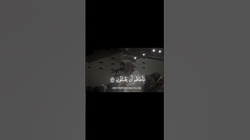 ياسـر الـدوسري#قرآن #قران_كريم #ياسر_الدوسري #تلاوة_خاشعة #راحة_نفسية