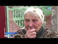 Нападение зверя: в Крыму бойцовская собака растерзала 9-летнего ребенка