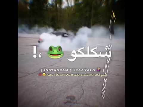 شكلكو شراشير بالعين صراصير والبرشام سايق فيكوا