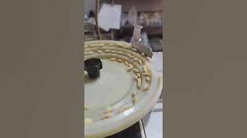 Lemon seeds counter counting machine automatic (count, fill and package) for small tiny big seeds