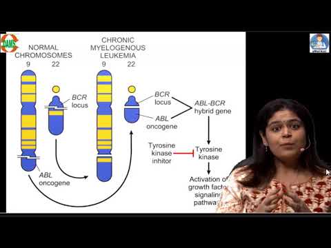 #Unplugged #Hematology #DAMS #MedEd #NEETPG #AIIMS #JIPMER #PGI
