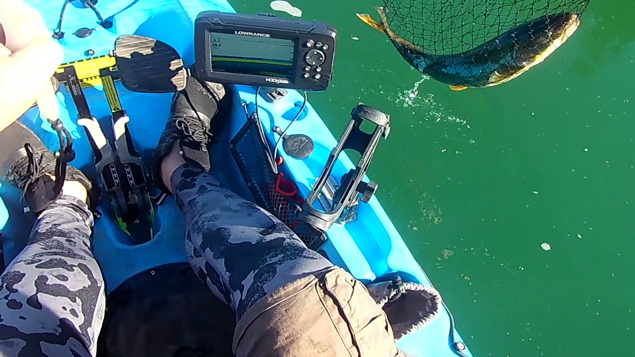 Unexpected fish on our lookout point reservoir midsummer trip YouTube