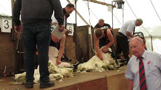 Sheep Shearing Lesmahagow 2023