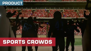 Sports Crowds Stock Footage Now Available | ActionVFX