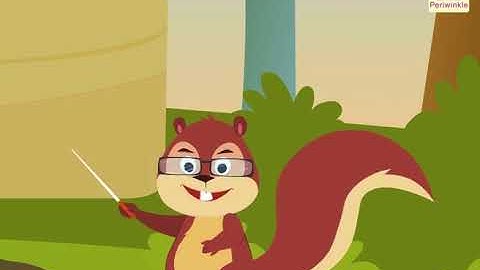 Addition And Subtraction Facts | Mathematics Grade 2 | Periwinkle