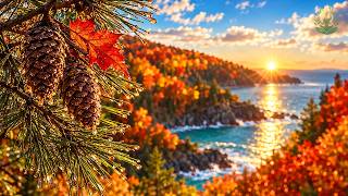(No Ads) Beautiful Autumn Music 🍁 Soft Fall Melodies to Calm Your Mind & Bring You Peace