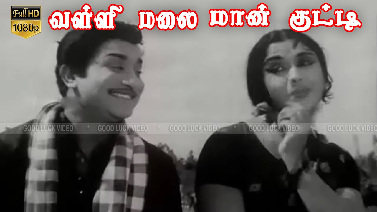     Vallimalai Maankutty Song  Msv  Kannadasan  Tms  susheela songs  HD