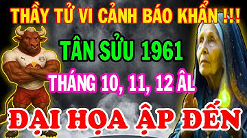 Cảnh Báo Từ Thầy Tử Vi: Tân Sửu 1961 TRÁNH NGAY ĐIỀU NÀY 3 Tháng Cuối Năm 2025!