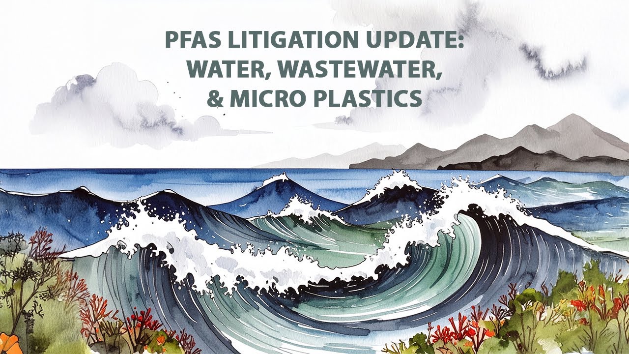 TAUD 2025 Business Conference – PFAS Litigation Update