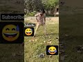 😂😂🤣🤣😅😅👍👍👍👍👍👍👍👍👍👍👍👍👍👍