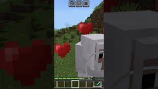 Minecraft but update snapshot 26.13 pocket edition ke update Kiya hai 😁 https .....
