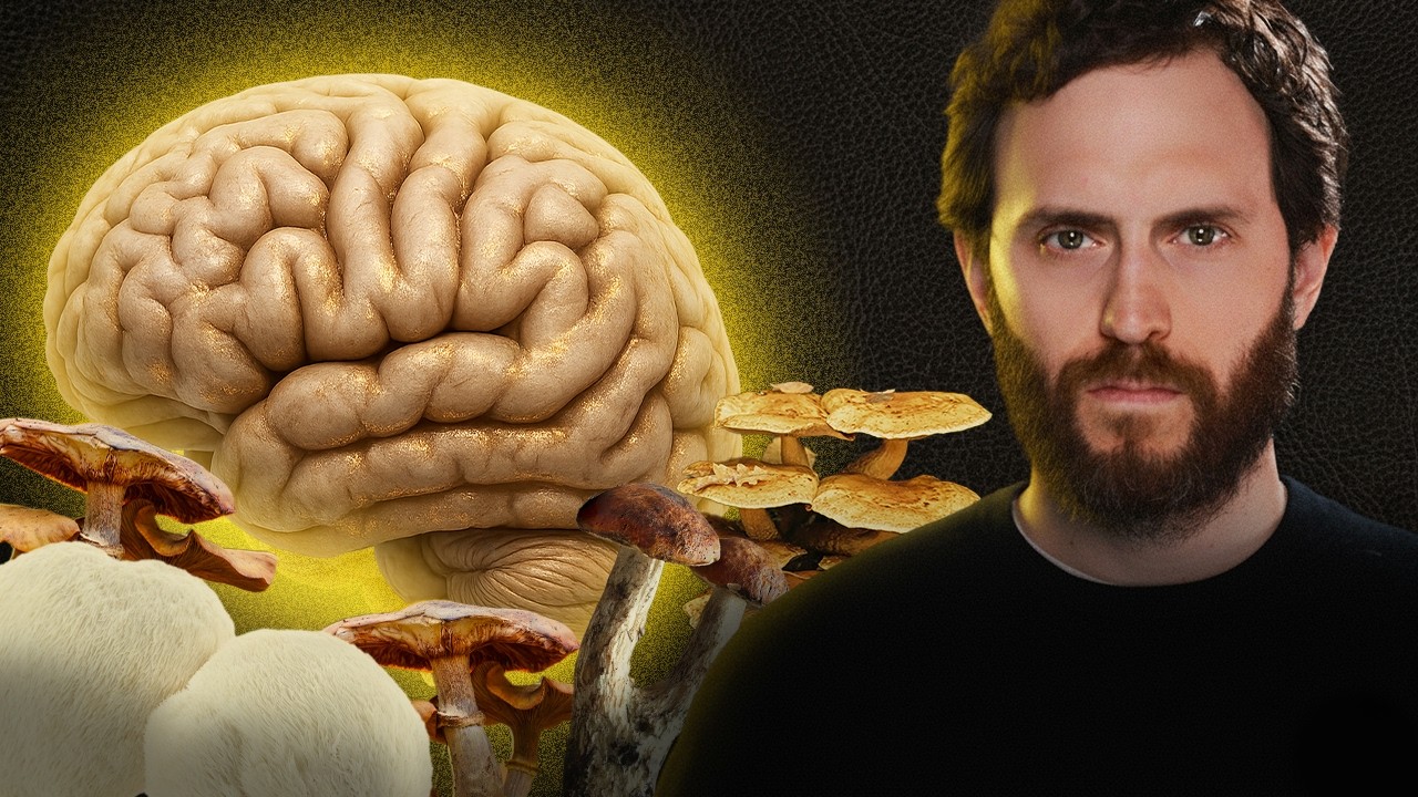 Melena de león, reishi, cordyceps: qué le hacen a tu cerebro