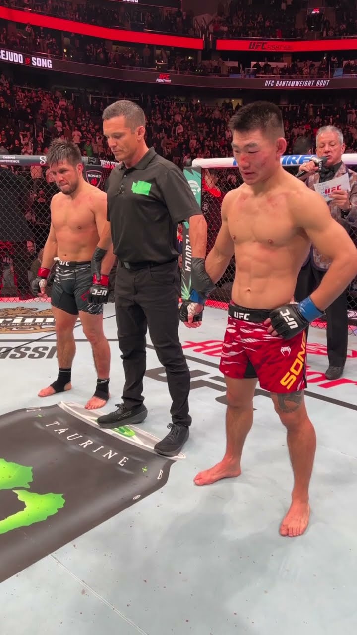Song Yadong wins by technical decision after an eye poke ? #ufcseattle