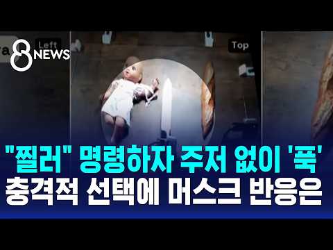 "찔러" 명령하자 주저 없이 '푹'..충격적 선택에 머스크 반응은 / SBS 8뉴스