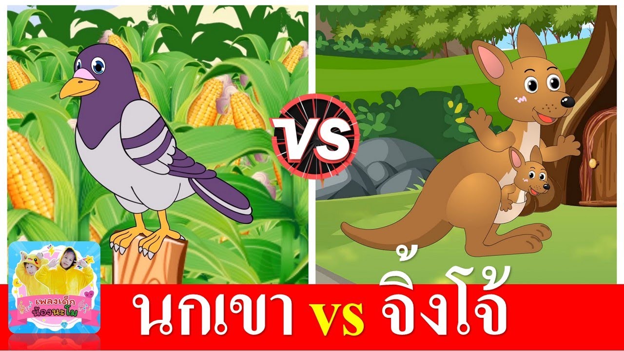 นกเขาบินข้ามเขา vs จิงโจ้กระโดดดึ๋งดึ๋ง