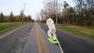 Street Surfing Bunny!!