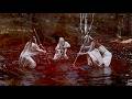 Capture de la vidéo Rúnahild - Seidrúnar