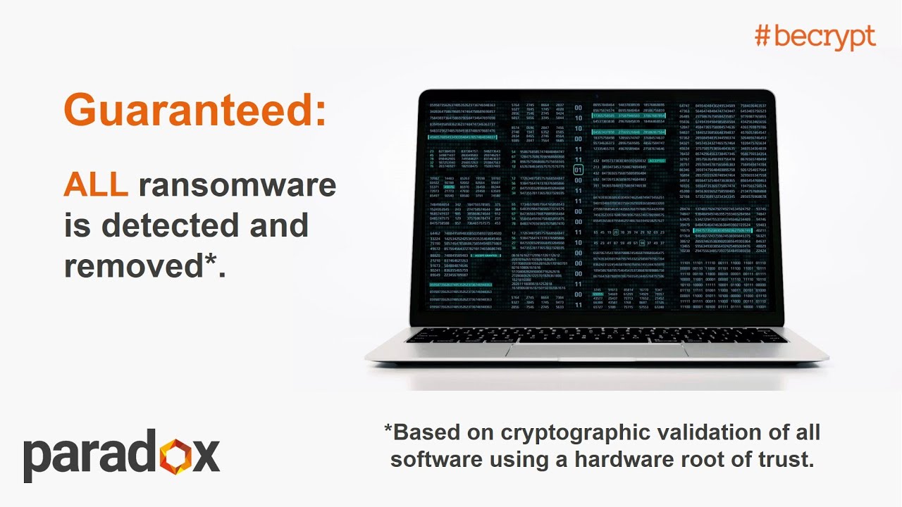 Paradox Overview Short