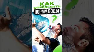 СКОЛЬКО нужно пить воды #вода #нормаводы #питание #николайпанасюк