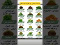 ماذا أختار إذا عنيت من تمري دويتو اكسبلور الله الرحمن تيك توك التهاب لايك المراه ترند ماذا أختار إذا عنيت من تمري دويتو اكسبلور الله الرحمن تيك توك التهاب لايك المراه ترند