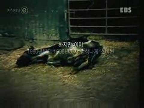 EBS - 17년후