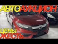 ЯПОНЦАМ ЭТОТ ХЛАМ БОЛЬШЕ НЕ НУЖЕН // HONDA STEPWGN VEZEL FREED SPIKE ODESSEY WR-X TOYOTA RAV4