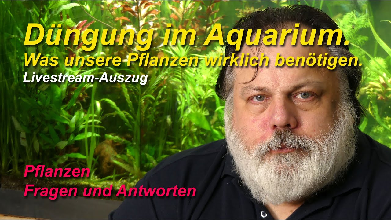 Düngung im Aquarium. Was unsere Pflanzen wirklich an Nährstoffen benötigen.