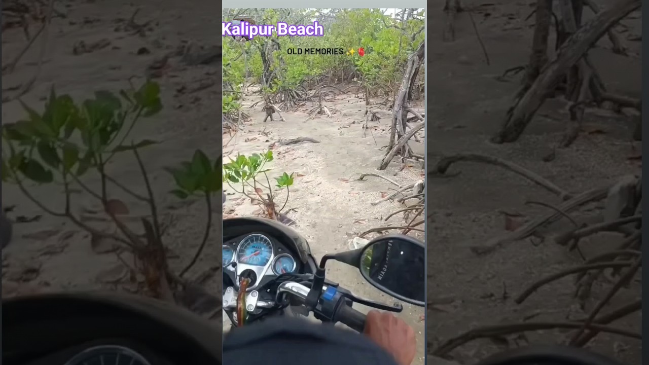kalipur beach short video