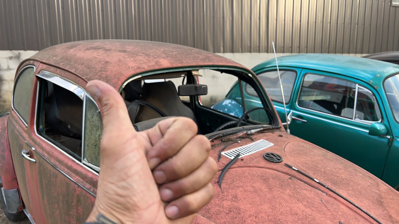 Lily got a new windshield YouTube