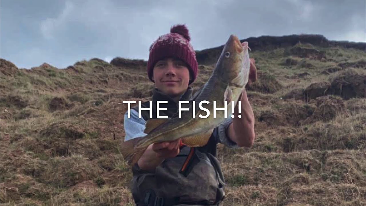 Fishing Filey brig for cod. May 2020 YouTube