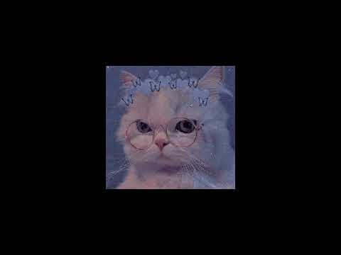 شعلومه Speed Up