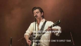 The Last Shadow Puppets - "Miracle Aligner" - Live - 'Everything You've Come To Expect' Tour