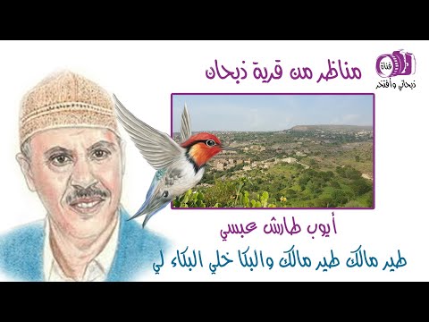 ايوب طارش عبسي طير مالك والبكاء خلي البكاء لي ذبحان تعز