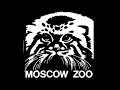 MOSCOW ZOO ( night world)
