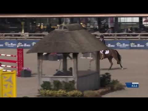 Johnny Walker CSIYH 7/8 yo Lier