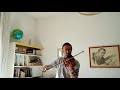 Shape of you  ed sheeran violin cover by vincenzo monaco