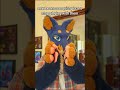 shoutout bobabun plushies... #furry #furryfandom #fursuit #fursuiter #fursuiters #furries