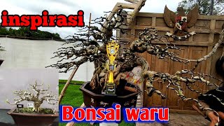 Inspirasi bonsai waru