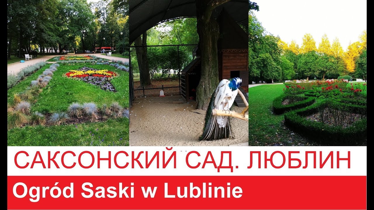 Саксонский сад Люблин  Ogrod Saski  Lublin Polską turystyka